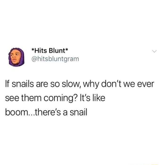 Hits Blunt hitsbluntgram If snails are so slow why dont we ever see them coming Its like boomtheres a snail