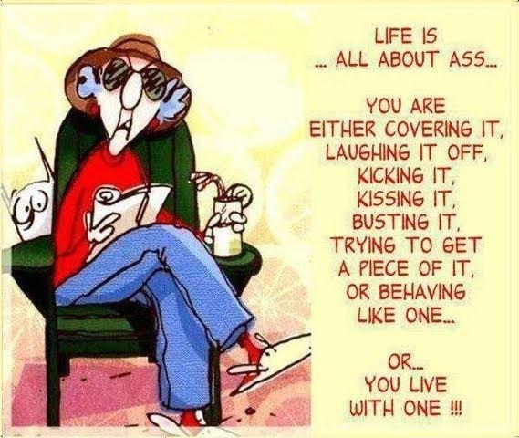 LIFE 15 ALL ABOUT ASS YOU ARE EITHER COVERING IT LAUGHING IT OFF KICKING IT KISSING IT BUSTING IT TRYING TO GET A PIECE OF IT OR BEHAVING LIKE ONE OR YOU LIVE WITH ONE