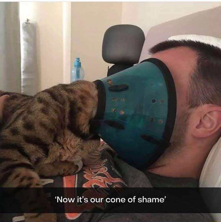 Now its our cone of shame A E