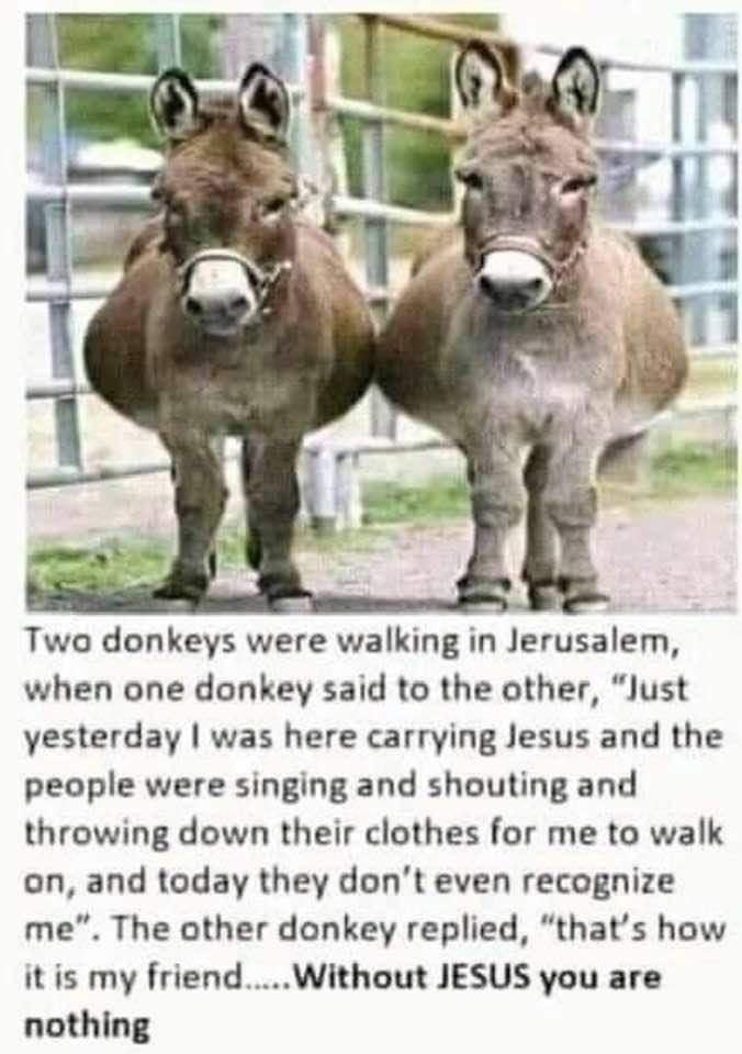 t Two donkeys were walking in Jerusalem when one donkey said to the other Just yesterday was here carrying Jesus and the people were singing and shouting and throwing down their clothes for me to walk on and today they dont even recognize me The other donkey replied thats how it is my friendWithout JESUS you are nothing