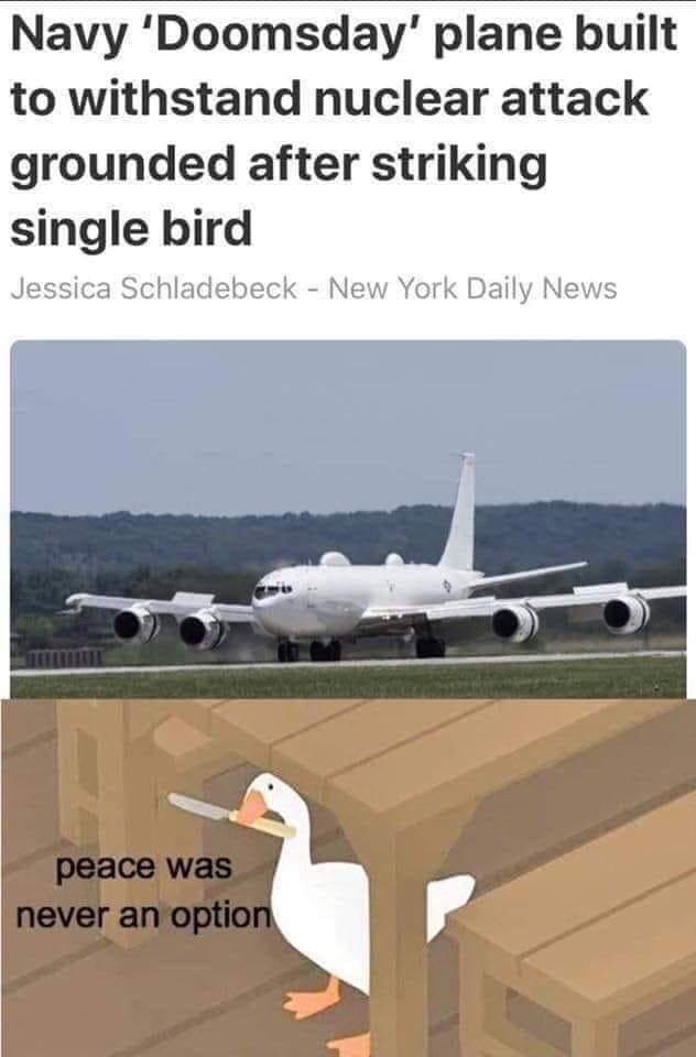 Navy Doomsday plane built to withstand nuclear attack grounded after striking single bird Jessica Schladebeck New York Daily News