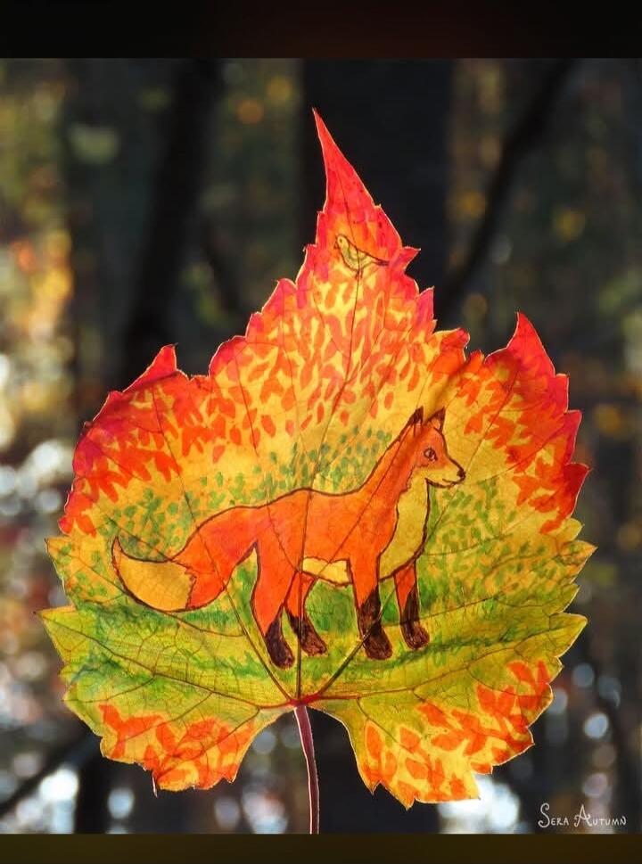 Sera Autumn