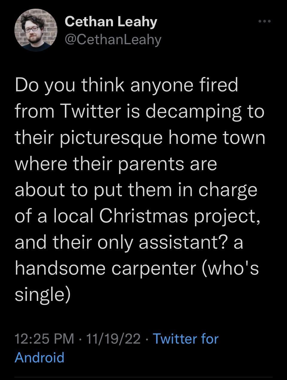 o ELYRCE L ef1G ELIREET Do you think anyone fired from Twitter is decamping to their picturesque home town where their parents are about to put them in charge of a local Christmas project Elale RGN S Taiwar handsome carpenter whos SR 1225 PM 111922 Twitter for Android