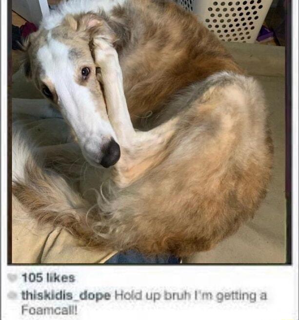 105 likes thiskidis_dope Hold up b