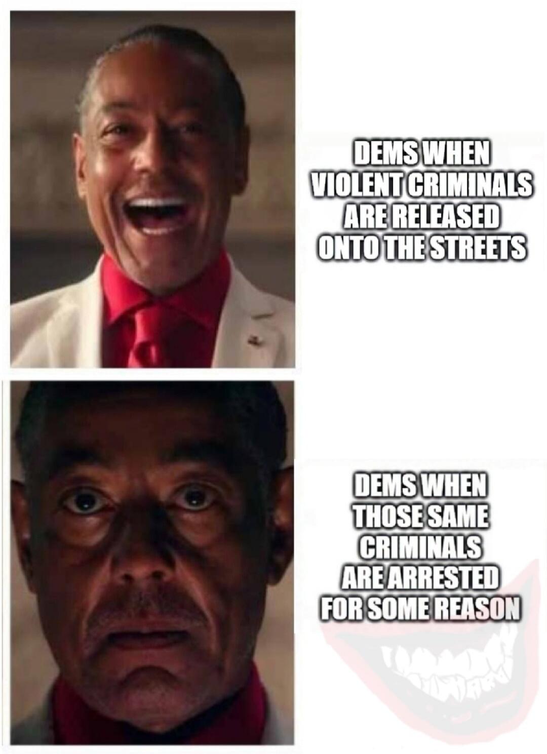 DEMS WHEN VIOLENT CRIMINALS ARE RELEASED ONTO THE STREETS DEMS WHEN THOSE SAME CRIMINALS ARE ARRESTED FOR SOME REASON