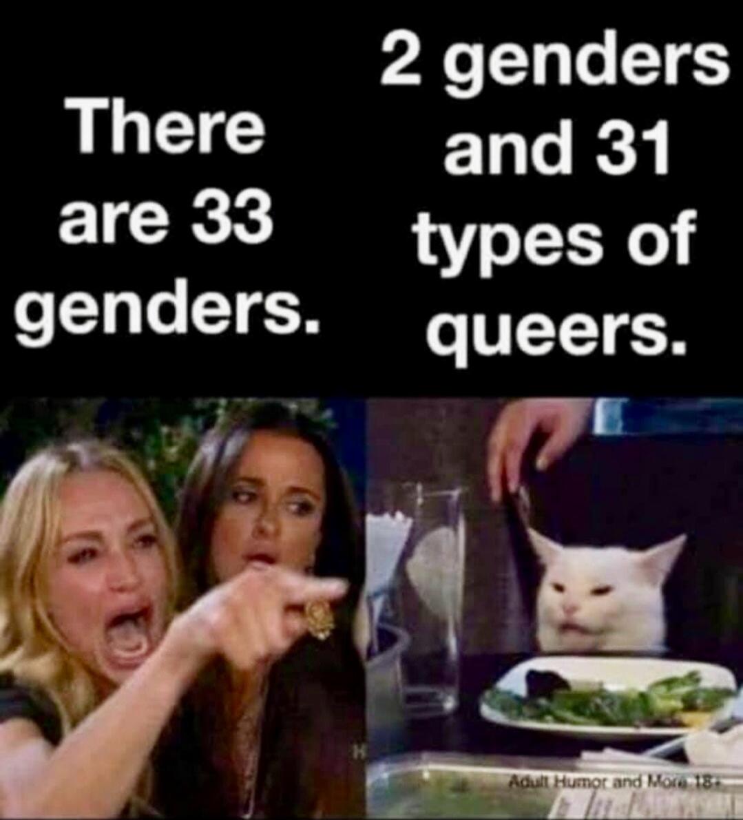 There are 33 genders. 2 genders and 31 types of queers. Adult Humor and More 18+