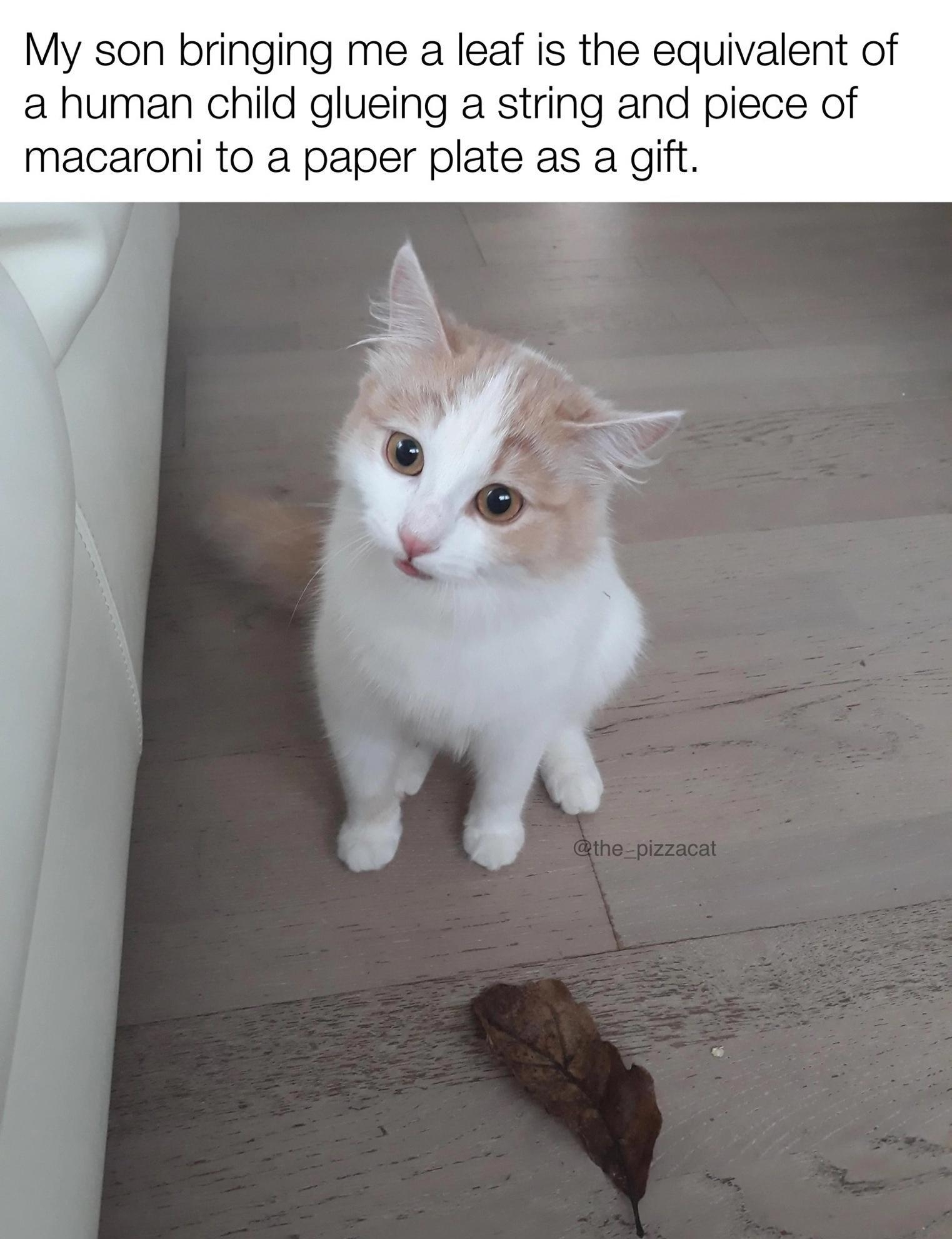 My son bringing me a leaf is the equivalent of a human child glueing a string and piece of macaroni to a paper plate as a gift made with mematic