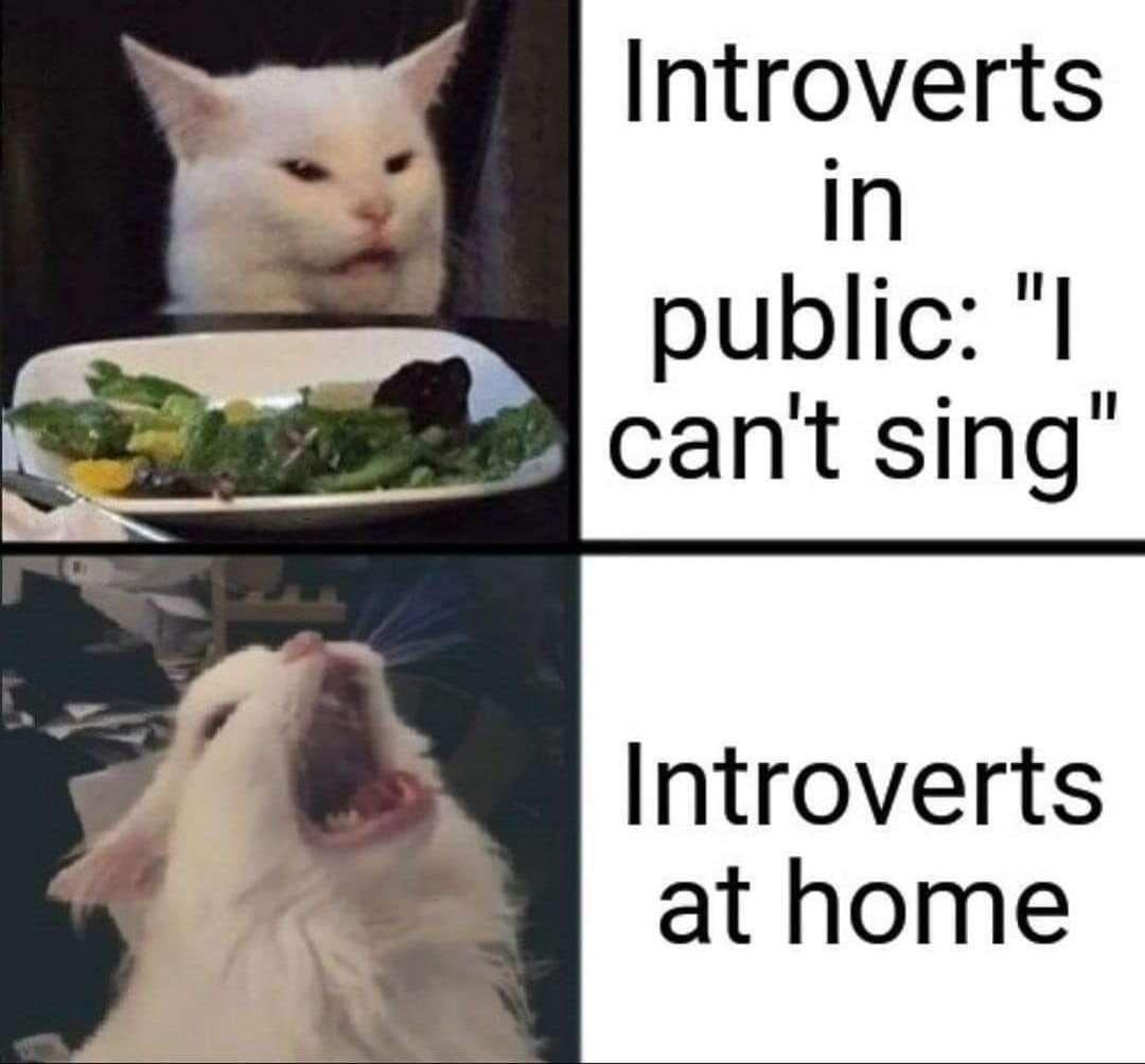 Introverts at home