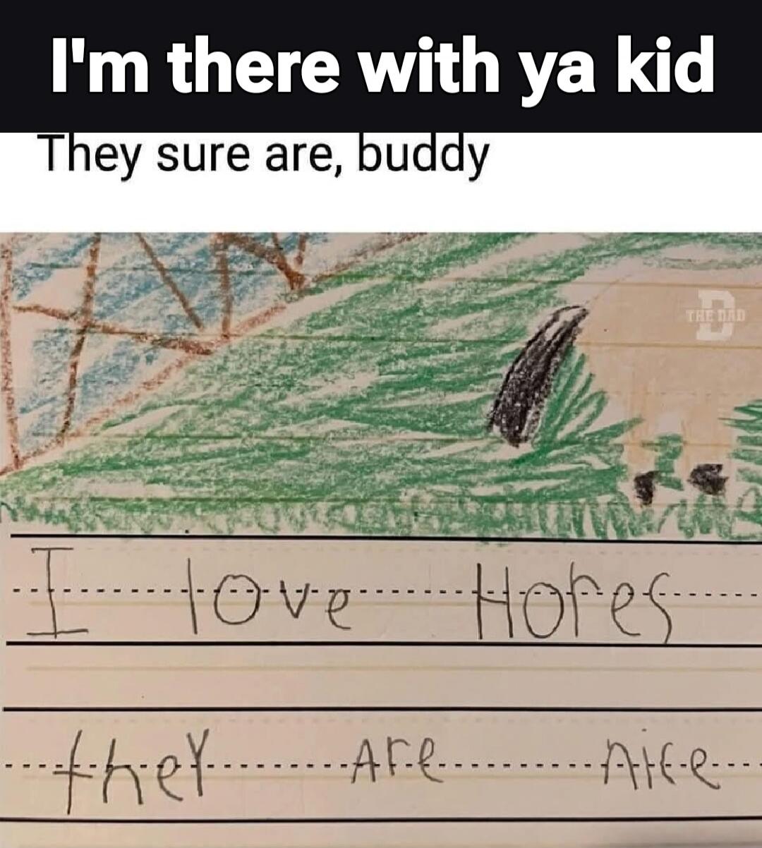 I'm there with ya kid
They sure are, buddy
I Love Hores
they are nice