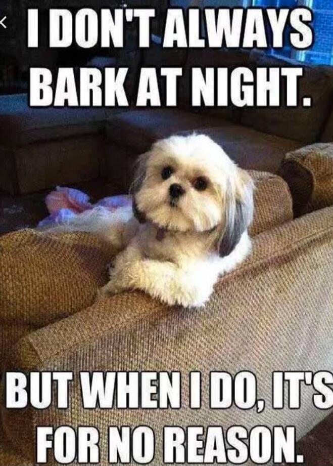 I DON'T ALWAYS BARK AT NIGHT. BUT WHEN I DO, IT'S FOR NO REASON.