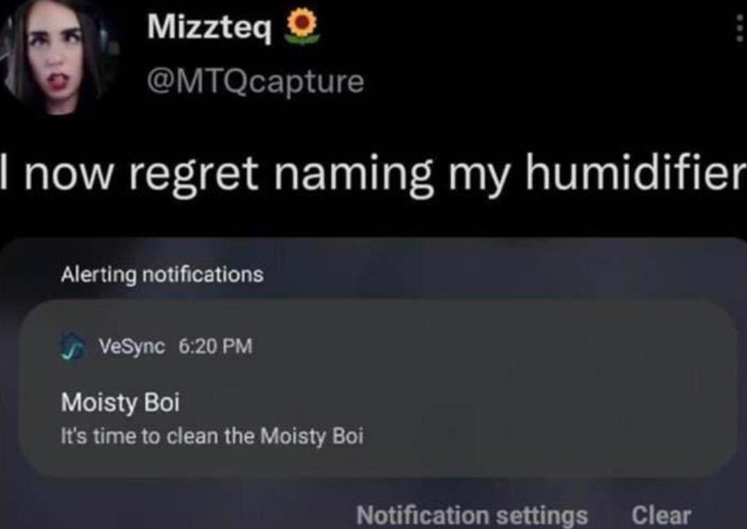 A Mizzteq MTQcapture now regret naming my humidifier Alerting notifications J VeSync 620PM Moisty Boi s time to clean the Moisty Boi Notification settings Clear