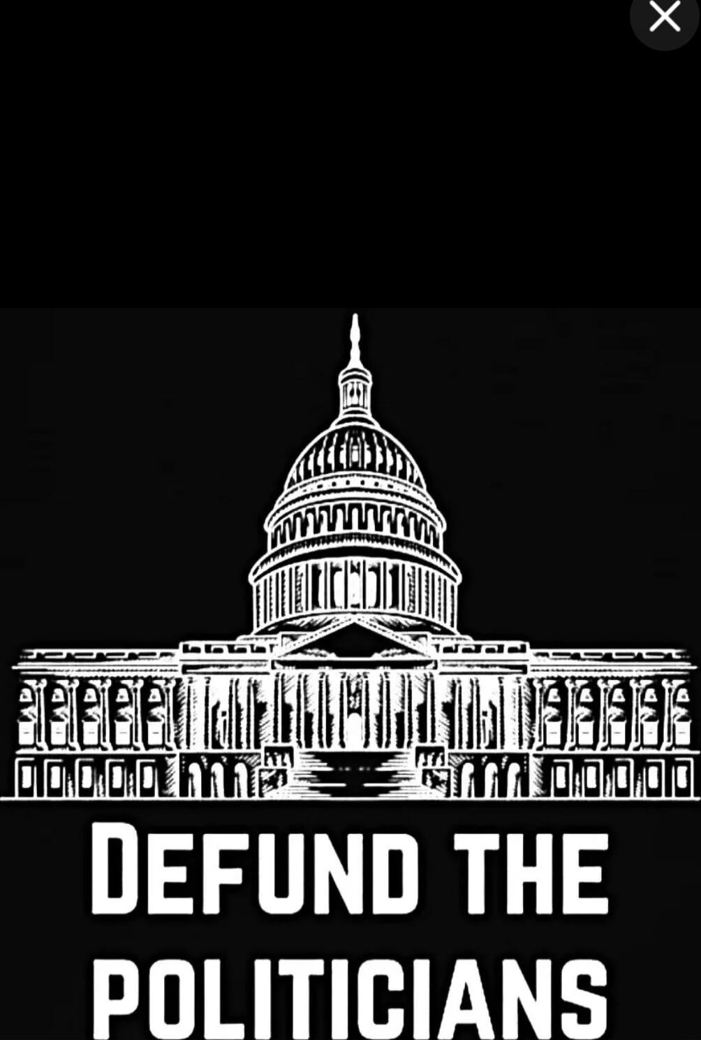 DEFUND THE POLITICIANS