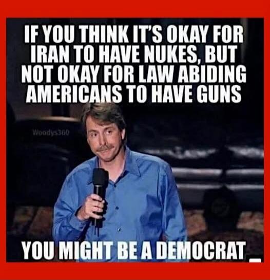 IF YOU THINK IT'S OKAY FOR IRAN TO HAVE NUKES, BUT NOT OKAY FOR LAW ABIDING AMERICANS TO HAVE GUNS, YOU MIGHT BE A DEMOCRAT.