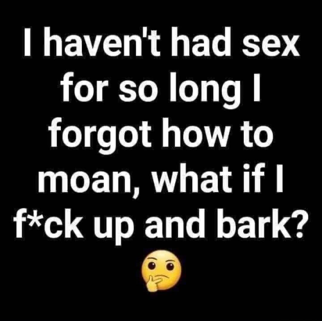 I haven't had sex for so long I forgot how to moan, what if I f*ck up and bark?