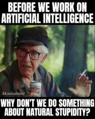BEFORE WE WORK ON ARTIFICIAL INTELLIGENCE WHY DON'T WE DO SOMETHING ABOUT NATURAL STUPIDITY?