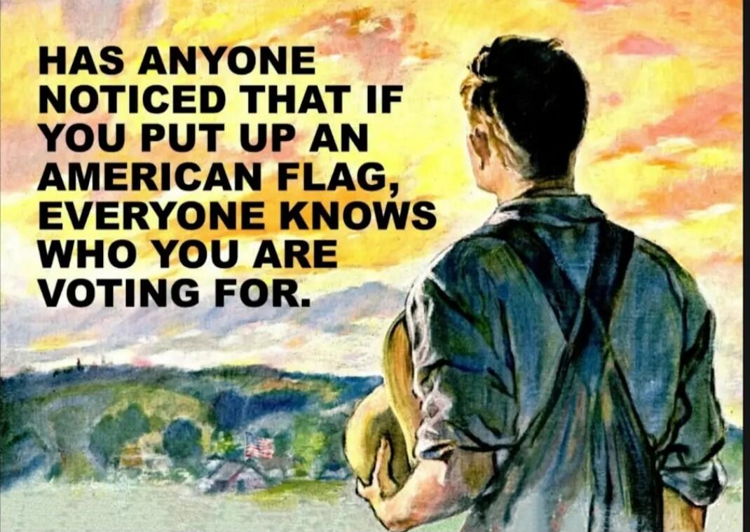 Has anyone noticed that if you put up an American flag, everyone knows who you are voting for.