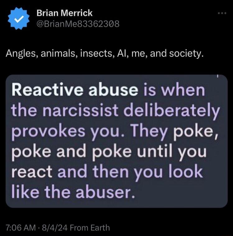 Brian Merrick UERLER kTR Angles animals insects Al me and society Reactive abuse is when the narcissist deliberately provokes you They poke poke and poke until you T o o R LT BVCTVH oTe 4 TCR G I