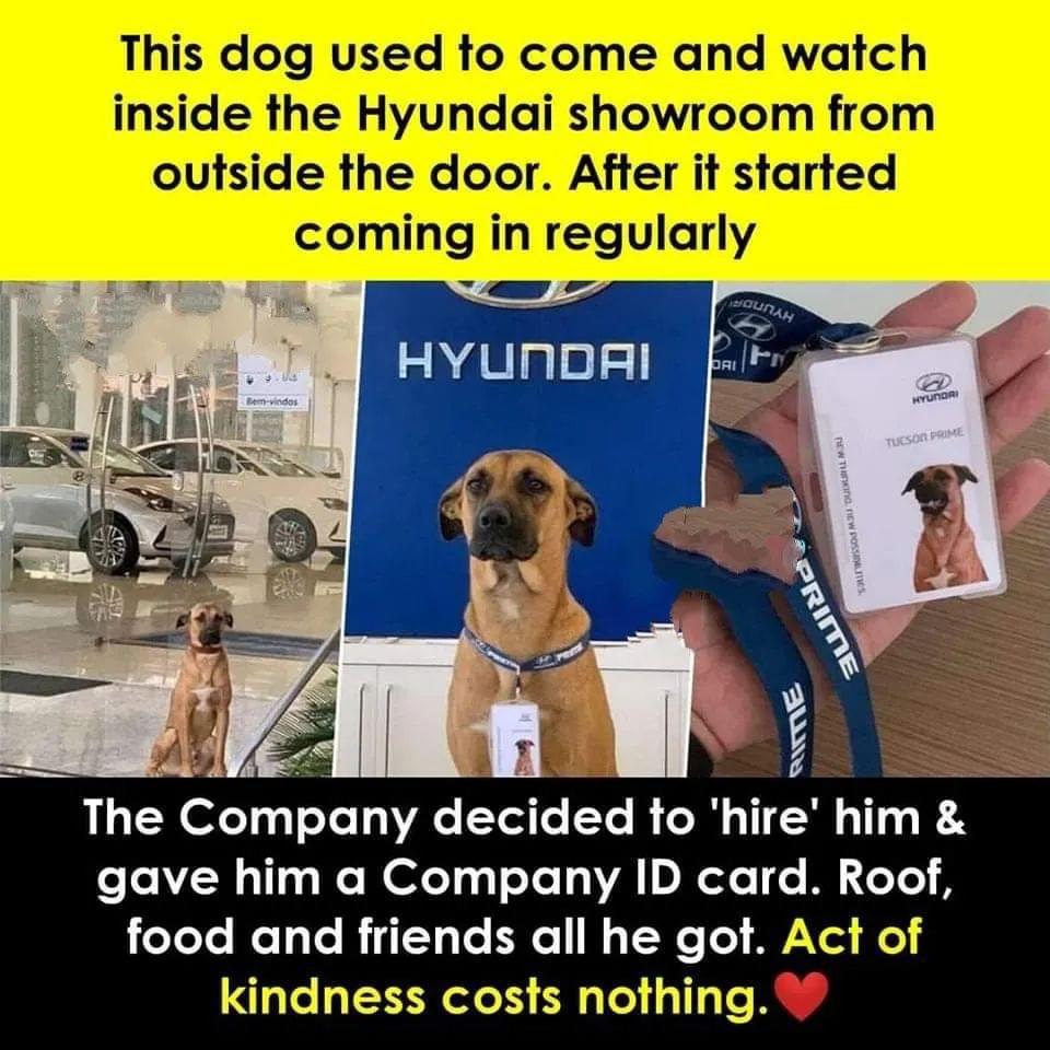 a e W The Company decided to hire him gave him a Company ID card Roof food and friends all he got Act of kindness costs nothing