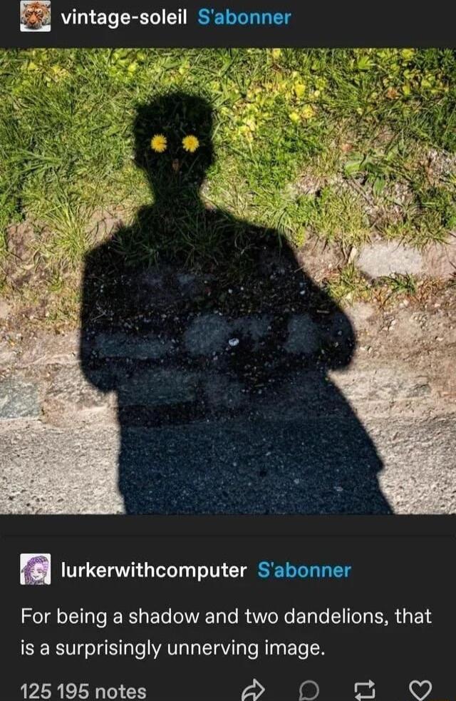 vintage soleil Sabonner lurkerwithcomputer Sabonner For being a shadow and two dandelions that is a surprisingly unnerving image 125 195 notes 2 0 o