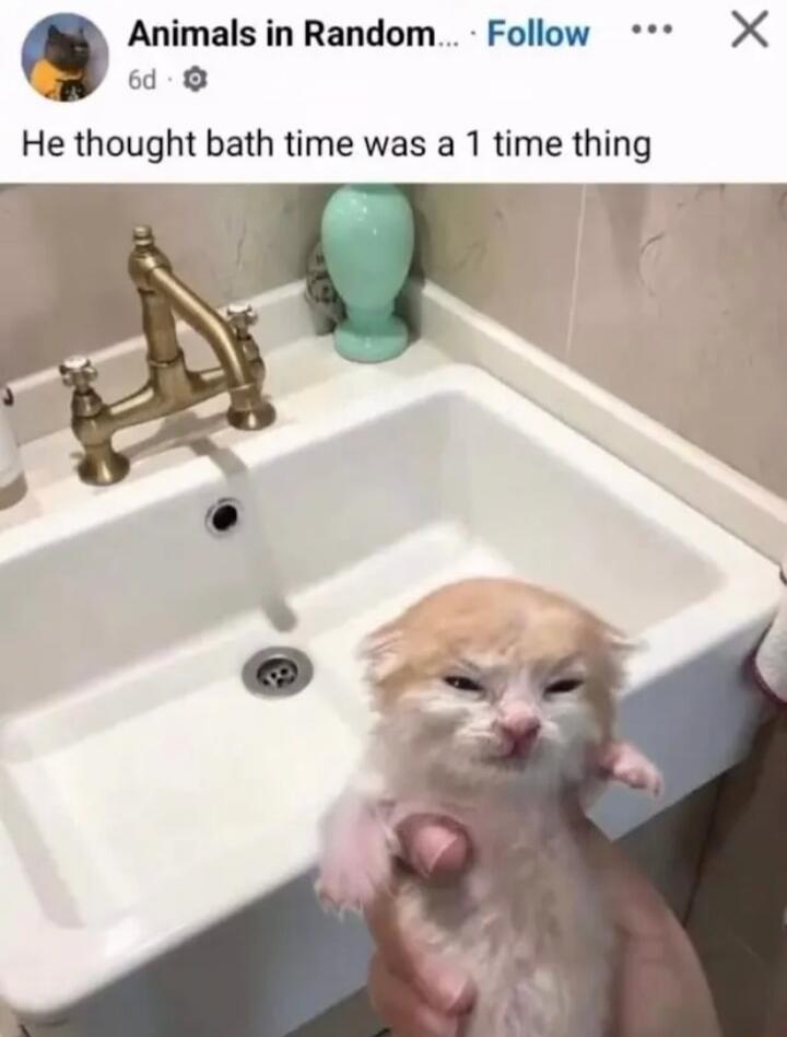 He thought bath time was a 1 time thing