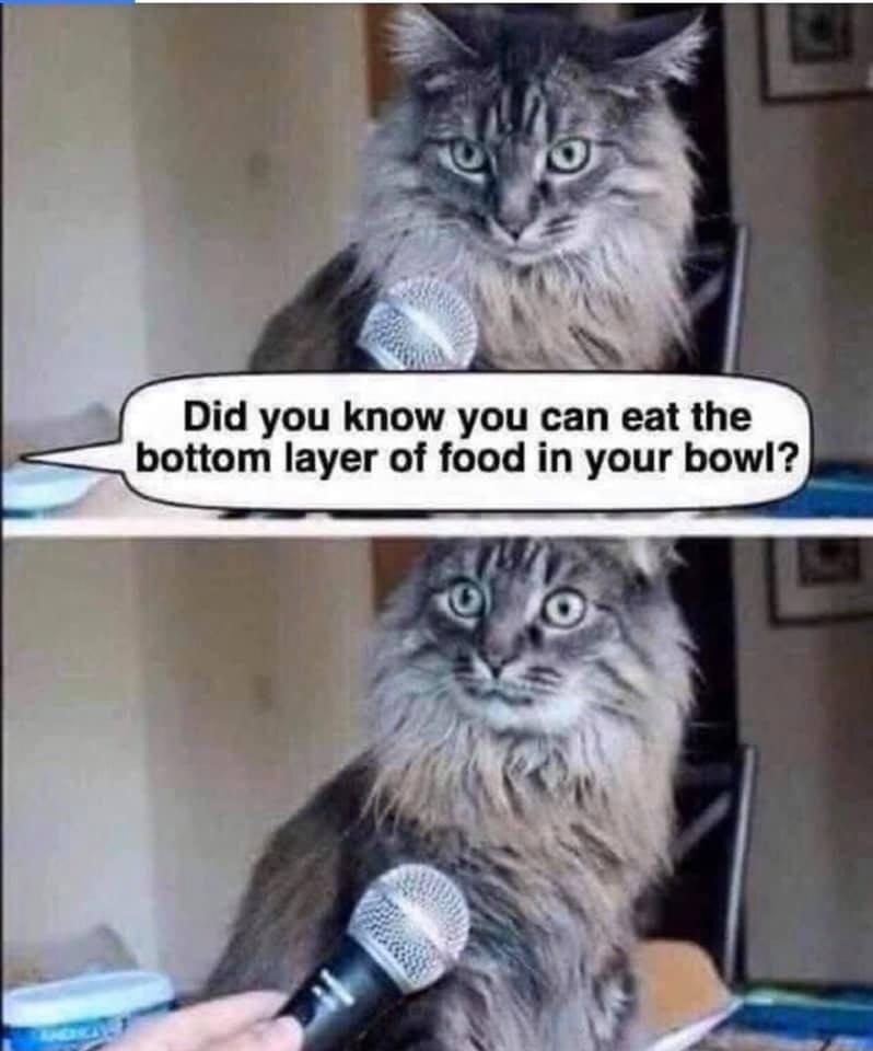 d you know you can eat the bottom layer of foo your bowl