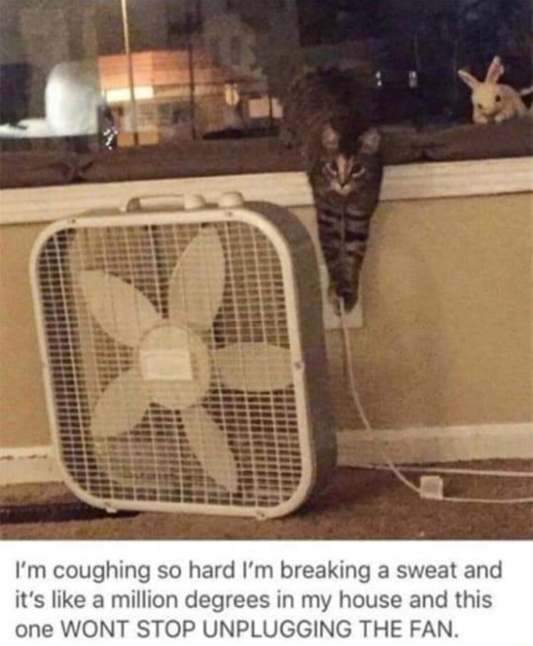 Im coughing so hard Im breaking a sweat and its like a million degrees in my house and this one WONT STOP UNPLUGGING THE FAN