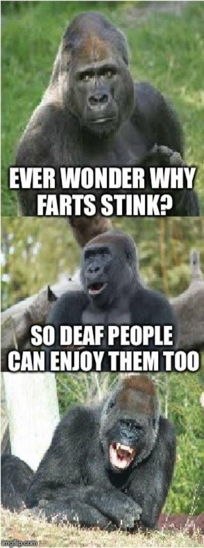 EVER WONDER WHY FARTS STINK? SO DEAF PEOPLE CAN ENJOY THEM TOO