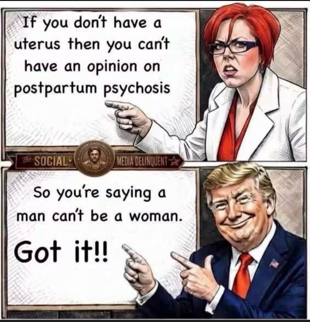 If you don't have a uterus then you can't have an opinion on postpartum psychosis. So you're saying a man can't be a woman. Got it!! The Social Media Delinquent.