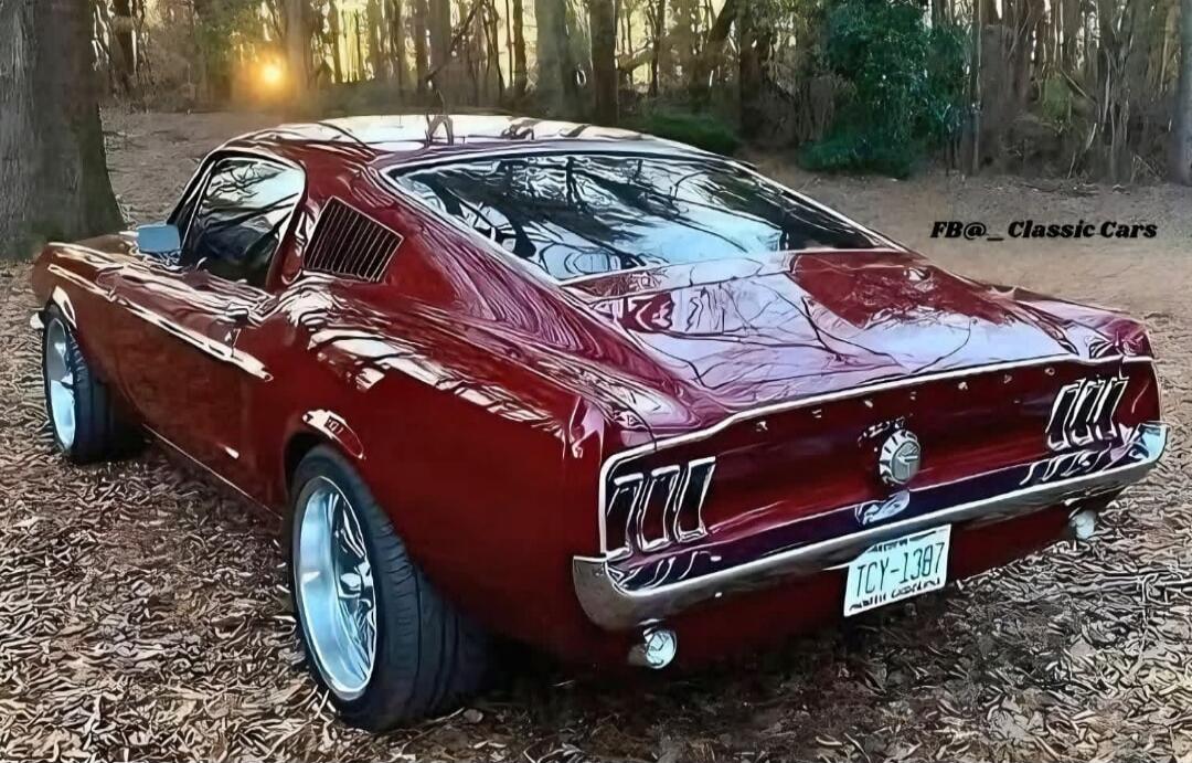 FB@_Classic Cars TCY-1387 South Carolina