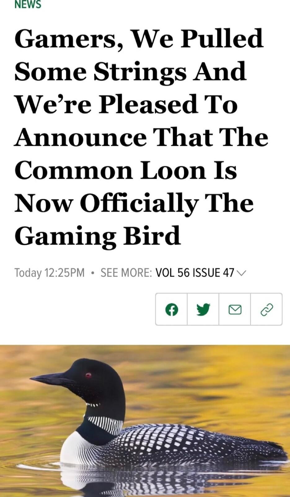 NEWS Gamers We Pulled Some Strings And Were Pleased To Announce That The Common Loon Is Now Officially The Gaming Bird 25PM SEE MORE VOL 56 ISSUE 47 0O Yy 2