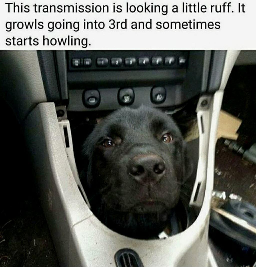 This transmission is looking a little ruff It growls going into 3rd and sometimes starts howling