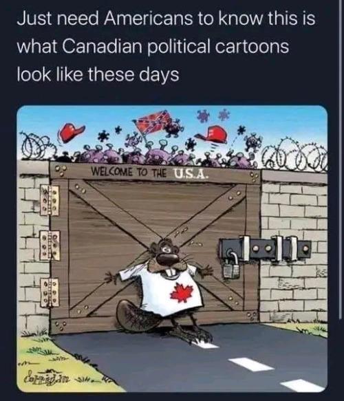 Just need Americans to know this is what Canadian political cartoons o1e QI CRUERINe I
