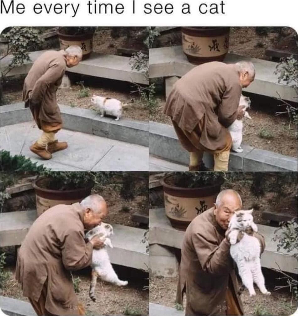 e every time see a cat