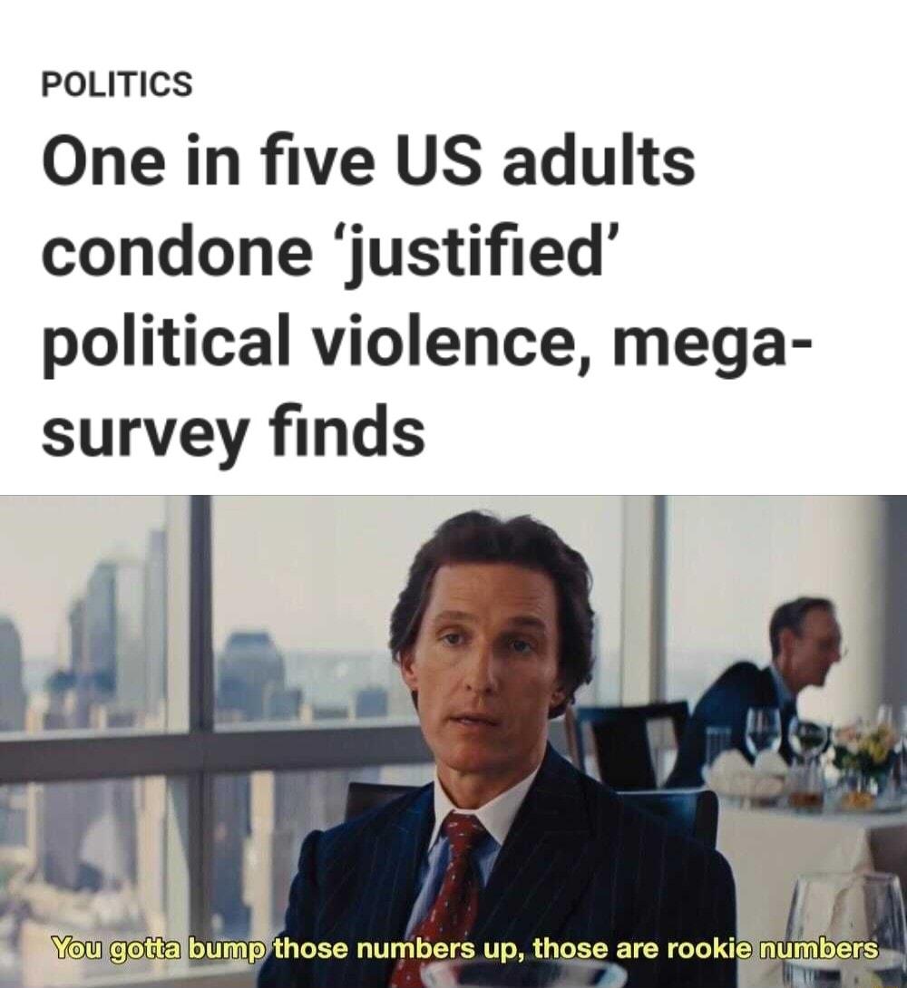 POLITICS One in five US adults condone justified political violence mega survey finds