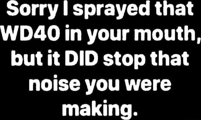 Sorry I sprayed that WD40 in your mouth, but it DID stop that noise you were making.