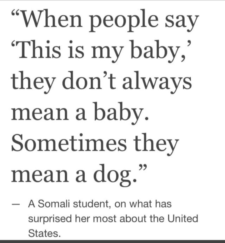 When people say This is my baby they dont always mean a baby Sometimes they mean a dog A Somali student on what has surprised her most about the United States