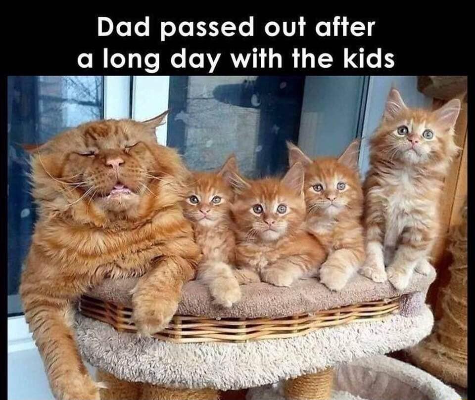 pXeTe NeTo Y Ro1V e 1 514 AL VA ORI ERNCH