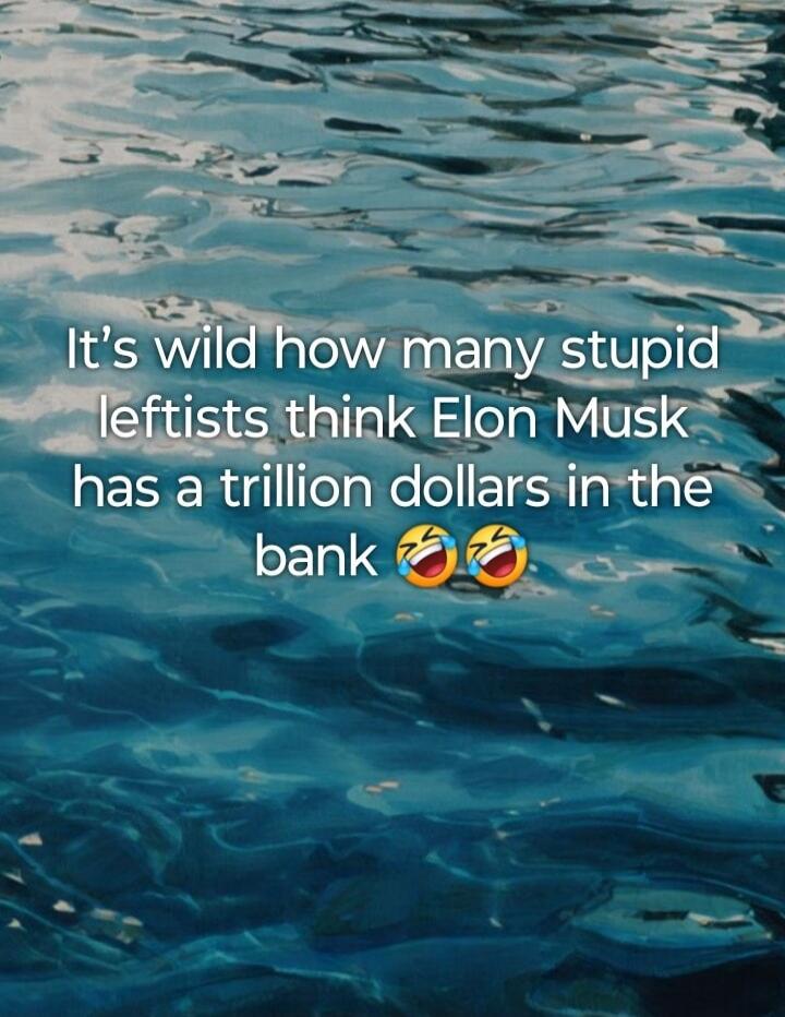 It's wild how many stupid leftists think Elon Musk has a trillion dollars in the bank 😂🤣