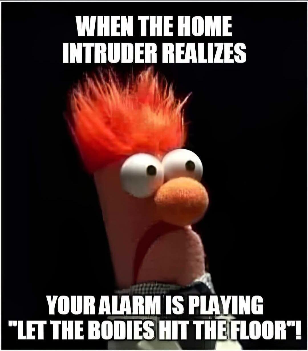 WHEN THE HOME INTRUDER REALIZES YOUR ALARM IS PLAYING 