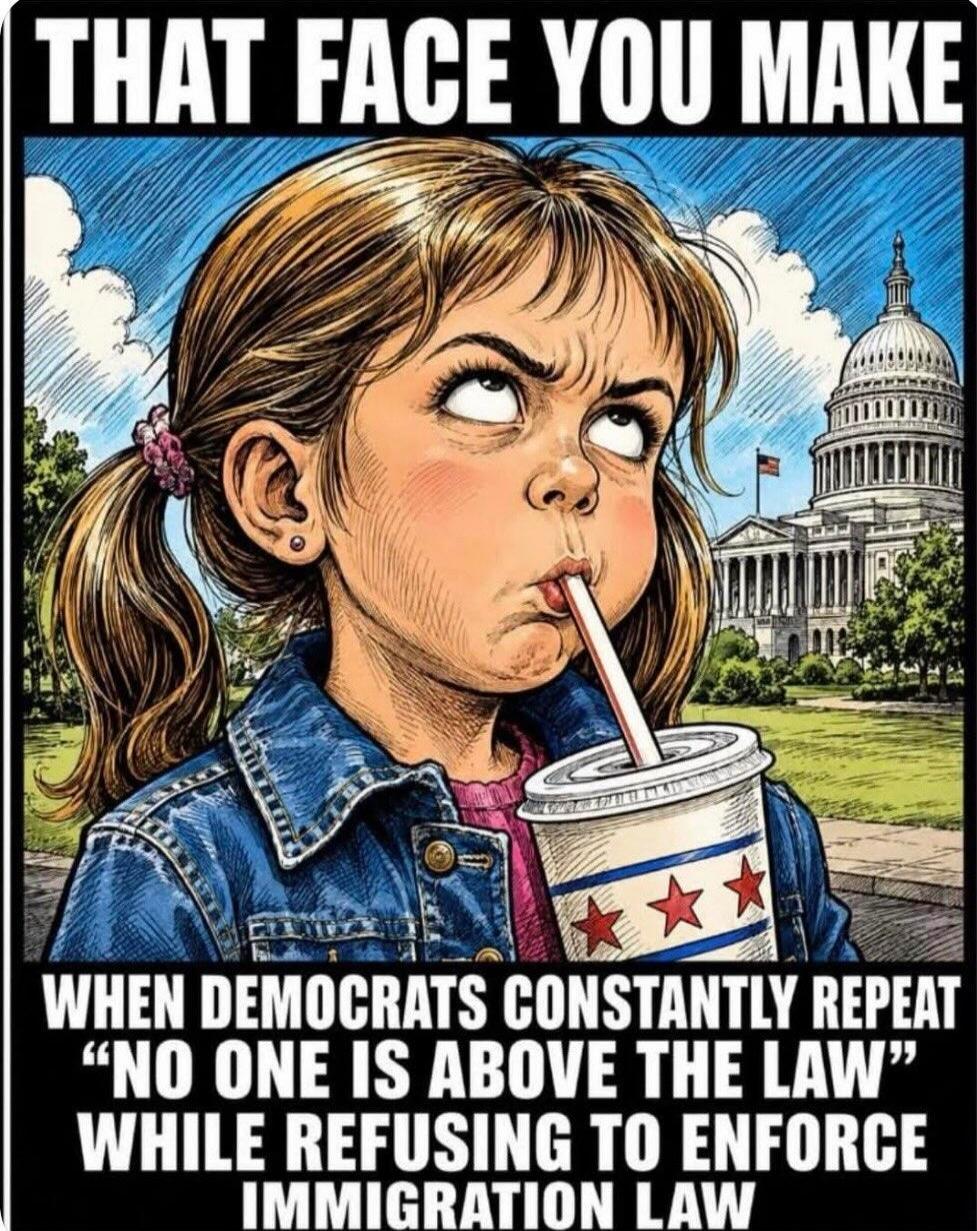 THAT FACE YOU MAKE WHEN DEMOCRATS CONSTANTLY REPEAT “NO ONE IS ABOVE THE LAW” WHILE REFUSING TO ENFORCE IMMIGRATION LAW