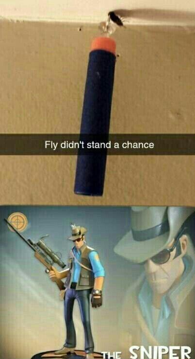 Fly didnt stand a chance