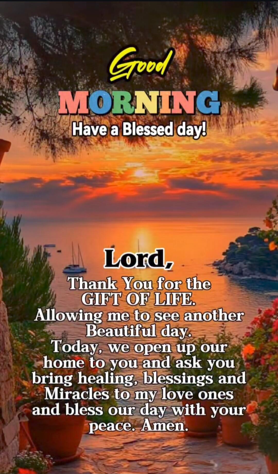 Good MORNING Have a Blessed day! Lord, Thank You for the GIFT OF LIFE. Allowing me to see another Beautiful day. Today, we open up our home to you and ask you bring healing, blessings and Miracles to my love ones and bless our day with your peace. Amen.