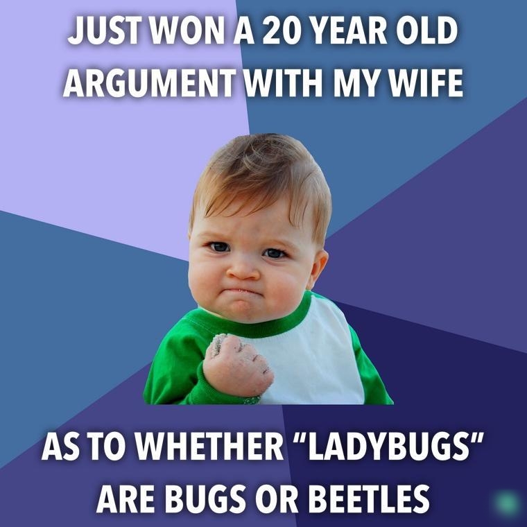 JUSTWONA 20 YEAR OLD AS TO WHETHER LADYBUGS ARE BUGS OR BEETLES