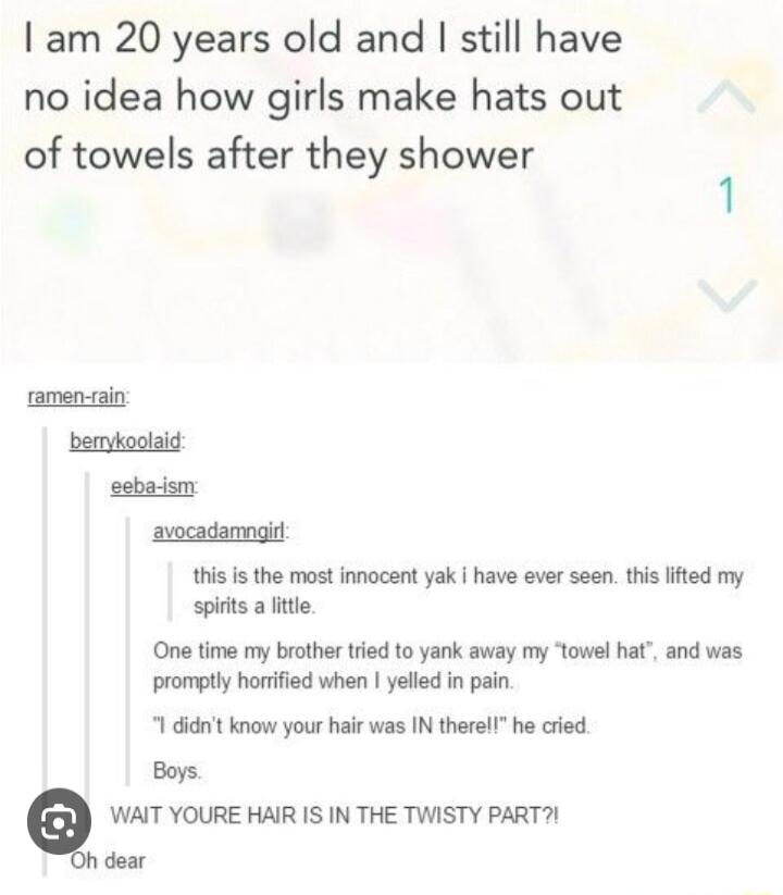 I am 20 years old and still have no idea how girls make hats out of towels after they shower 1 men tain bemykoolaig sebadism avocadamngir this is the most innocent yak have ever seen this lifted my spits a it One time my brother tied to yank away my towel hat and was promptly horrified when yelled in pain 1 it know your halr was N therell he cried Boys Q WAIT YOURE HAIR IS IN THE TWISTY PART dear