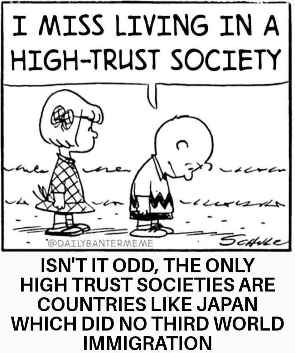 I miss living in a high-trust society. Isn't it odd, the only high trust societies are countries like Japan which did no third world immigration.