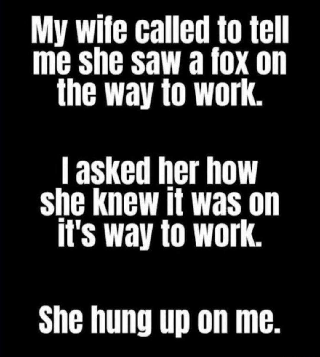 My wife called to tell me she saw a fox on the way to work. I asked her how she knew it was on its way to work. She hung up on me.