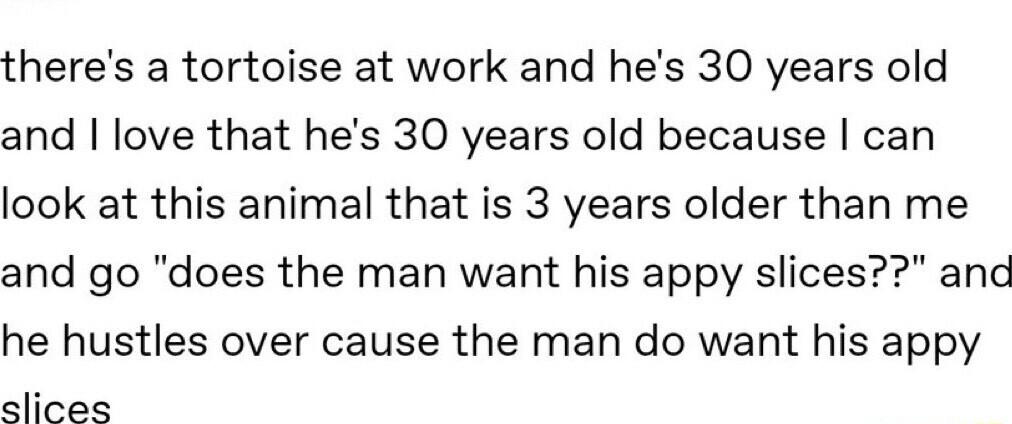 theres a tortoise at work and hes 30 years old and love that hes 30 years old because can look at this animal that is 3 years older than me and go does the man want his appy slices and he hustles over cause the man do want his appy slices
