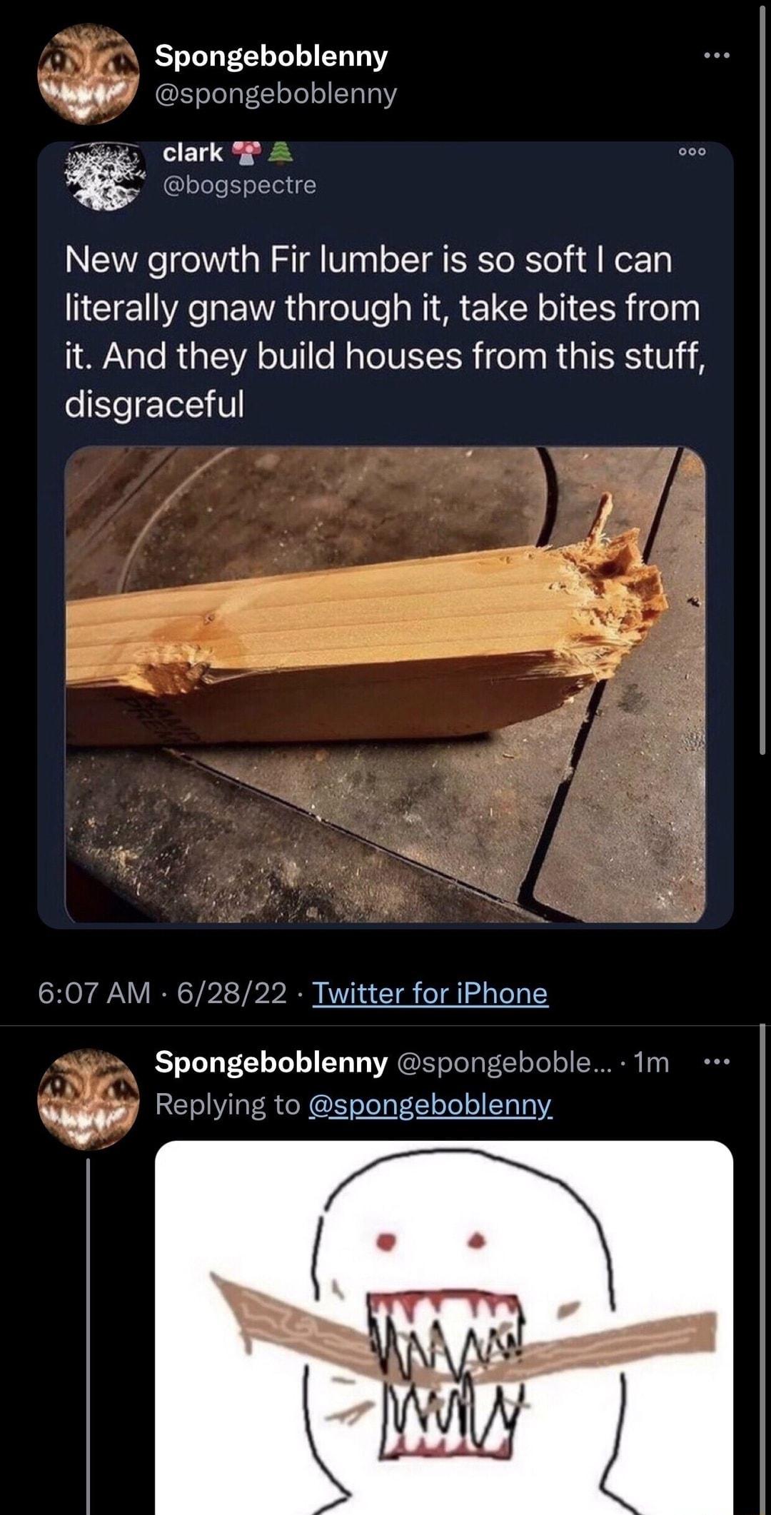 Spongeboblenny ngeb blenn New growth Fir lumber is so soft can literally gnaw through it take bites from it And they build houses from this stuff disgraceful 22 Twitter for iPhone Spongeboblenny Replying to spongeboblenny S