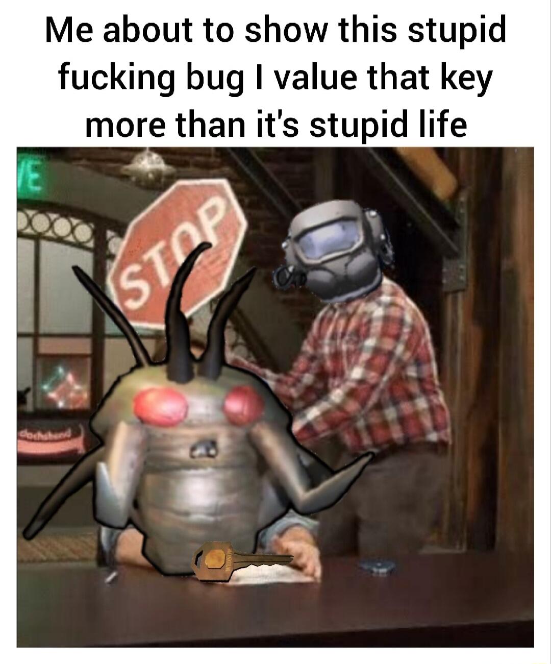 Me about to show this stupid fucking bug I value that key more than its stupid life
