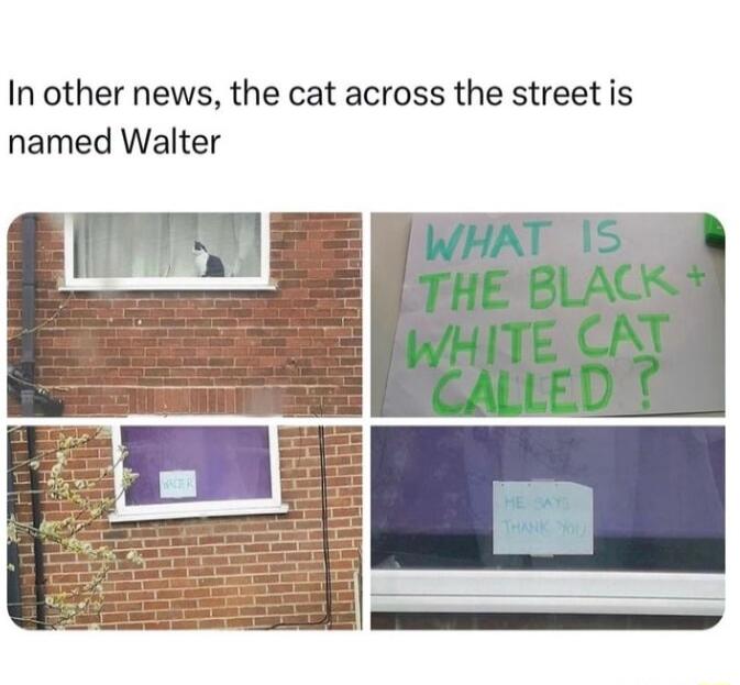 In other news the cat across the street is named Walter